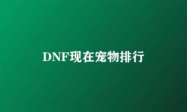 DNF现在宠物排行