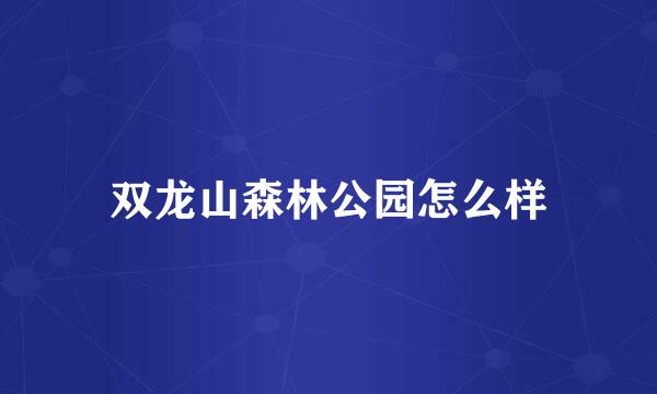 双龙山森林公园怎么样