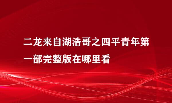 二龙来自湖浩哥之四平青年第一部完整版在哪里看