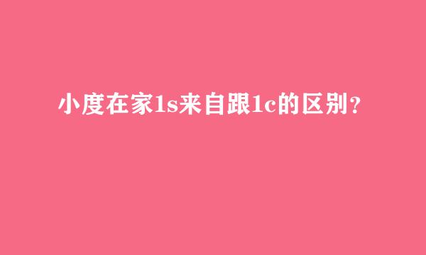 小度在家1s来自跟1c的区别？