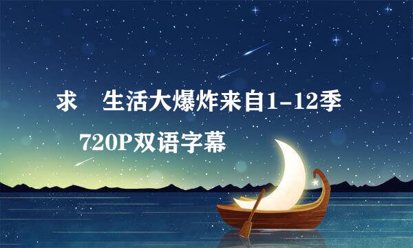 求 生活大爆炸来自1-12季 720P双语字幕