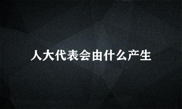 人大代表会由什么产生