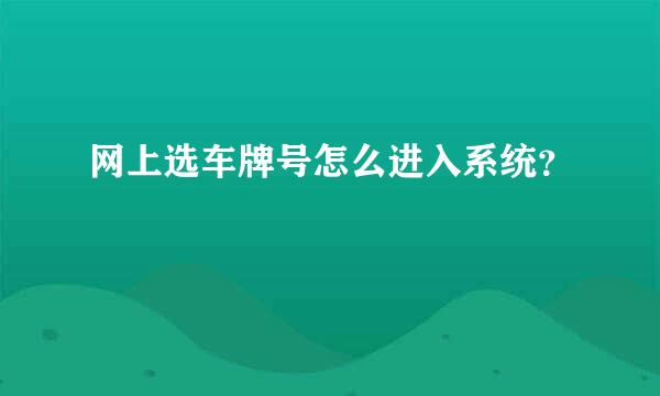 网上选车牌号怎么进入系统？