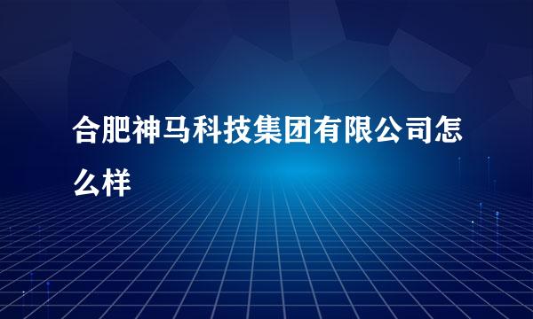 合肥神马科技集团有限公司怎么样