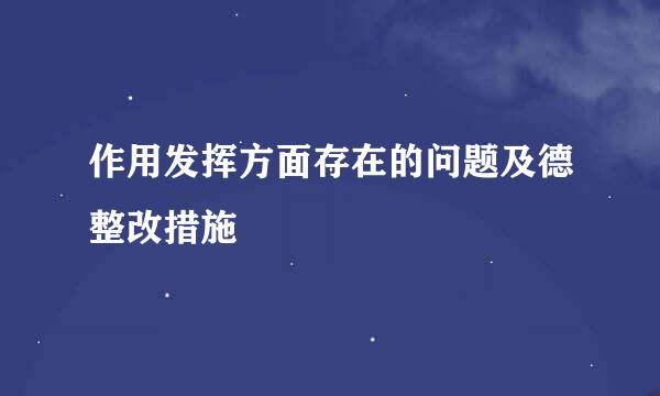 作用发挥方面存在的问题及德整改措施