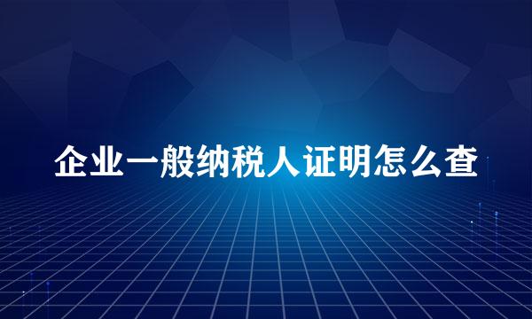 企业一般纳税人证明怎么查