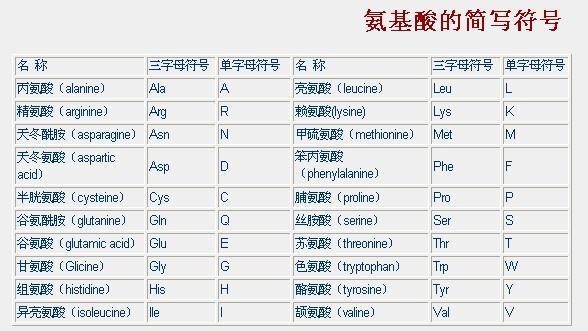 20种必须氨基酸的英文缩写是?来自