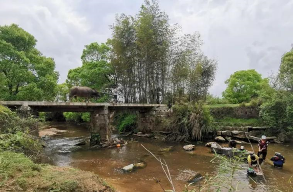 华为面试题目: 一头牛800kg,桥承重700kg,牛咋过桥?