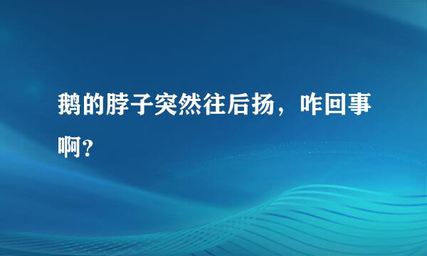 鹅的脖子突然往后扬，咋回事啊？