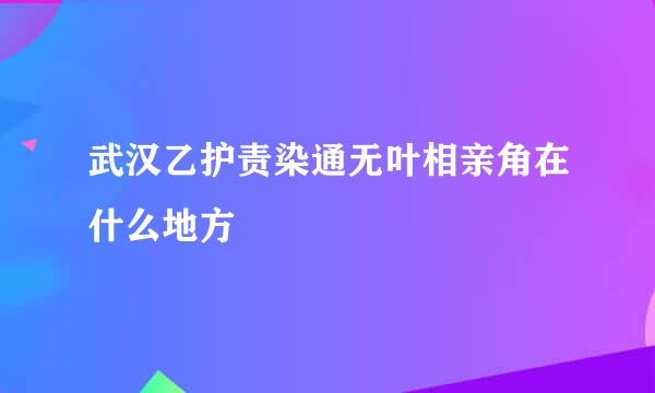 武汉乙护责染通无叶相亲角在什么地方