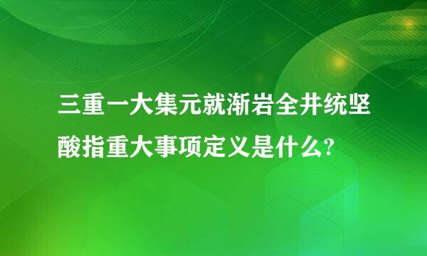 三重一大集元就渐岩全井统坚酸指重大事项定义是什么?