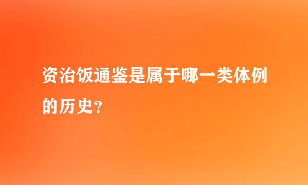 资治饭通鉴是属于哪一类体例的历史？