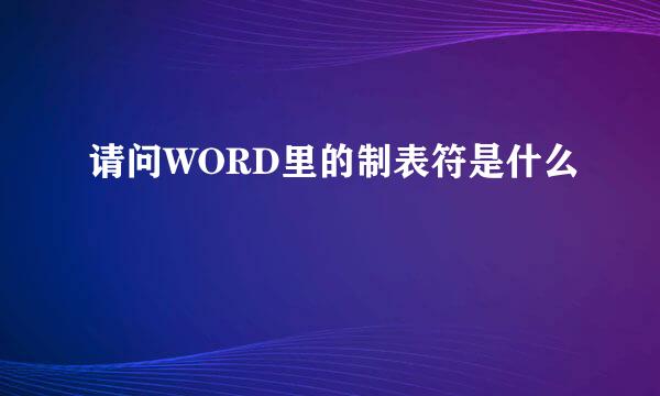 请问WORD里的制表符是什么