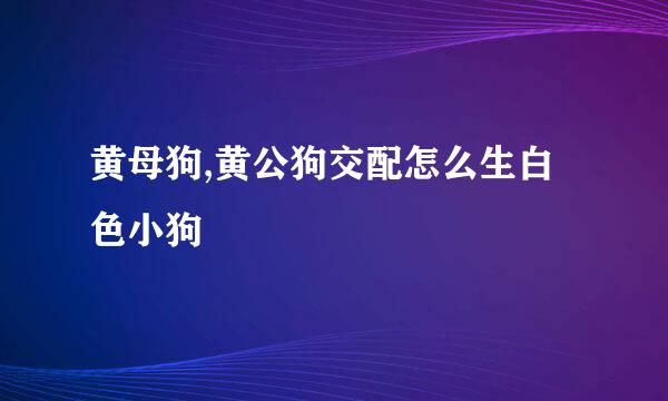 黄母狗,黄公狗交配怎么生白色小狗