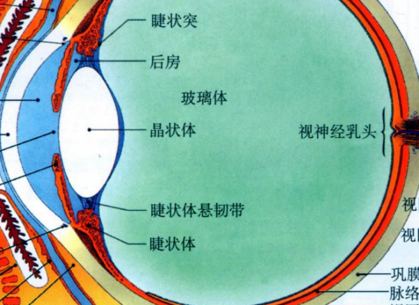 眼睛的重要性