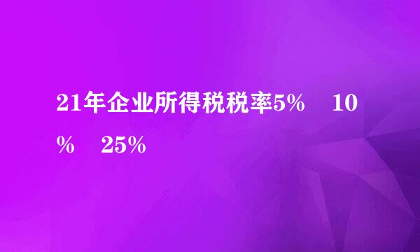 21年企业所得税税率5% 10% 25%