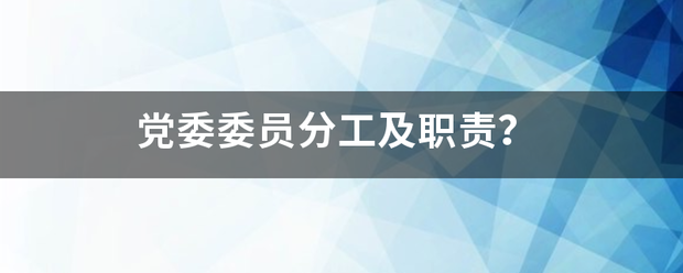 党委委员分工及职责？