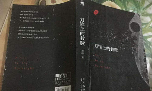 作品有哪些刑侦破案小说？