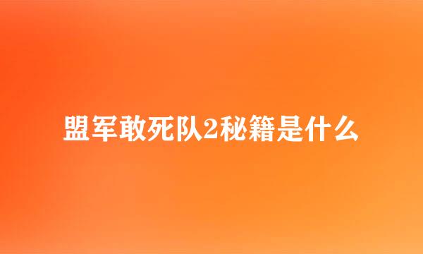 盟军敢死队2秘籍是什么