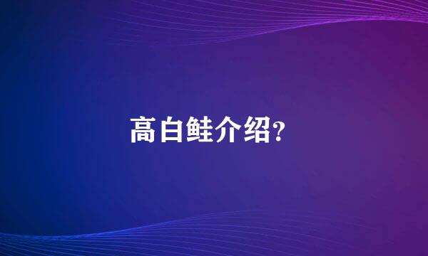 高白鲑介绍？