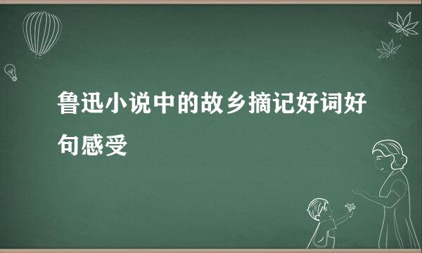 鲁迅小说中的故乡摘记好词好句感受