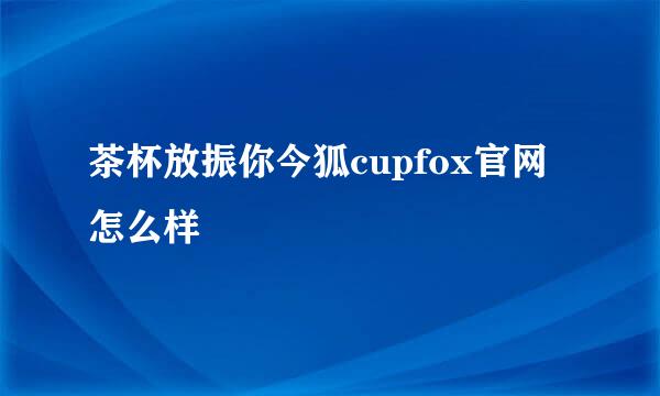 茶杯放振你今狐cupfox官网怎么样