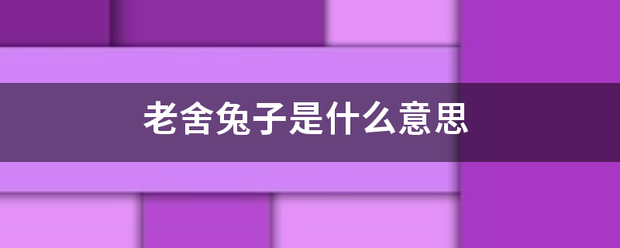 老舍兔子是什么意思