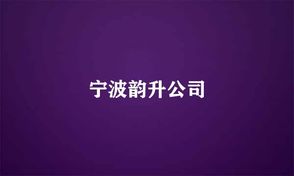 宁波韵升公司