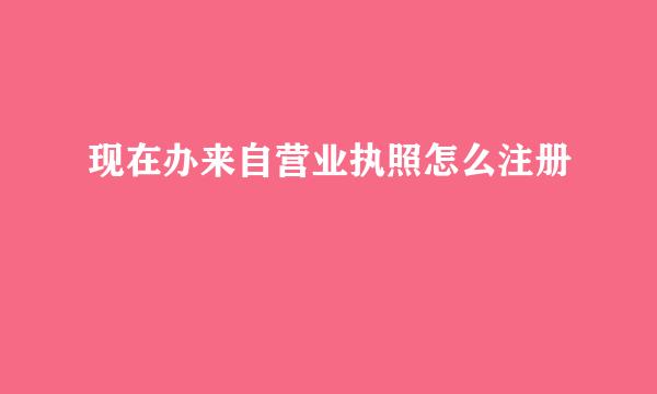 现在办来自营业执照怎么注册