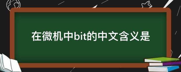 在微机中bit的中文含义是