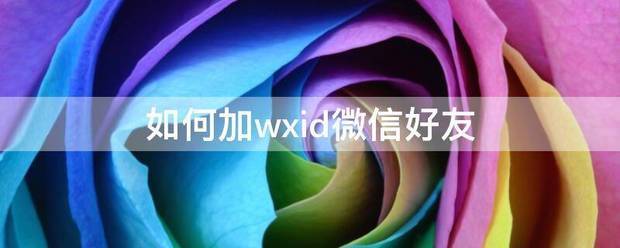 如何加wxid微信好友