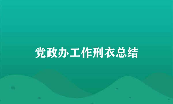 党政办工作刑衣总结