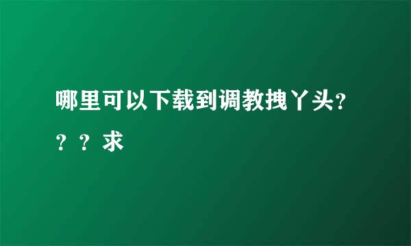 哪里可以下载到调教拽丫头？？？求