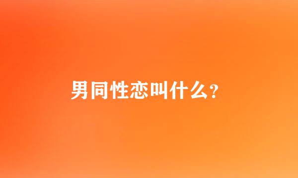 男同性恋叫什么？