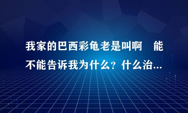 我家的巴西彩龟老是叫啊 能不能告诉我为什么？什么治疗办法 治好了追100分！急急急！