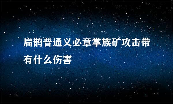 扁鹊普通义必章掌族矿攻击带有什么伤害