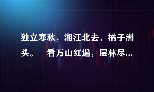 独立寒秋，湘江北去，橘子洲头。 看万山红遍，层林尽染；漫江碧粉笔或越乡须透，百舸争流。 鹰击长空，鱼翔浅底， 万类霜天竞自由来自。 / 这个意思改写成散文. 200多字就可以了。今天晚上就要。作业！随便改。最好有点文笔。。谢谢！等到1点。