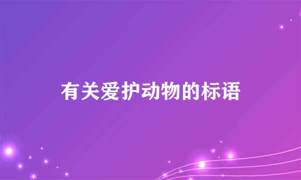 有关爱护动物的标语