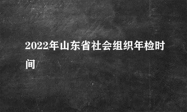 2022年山东省社会组织年检时间