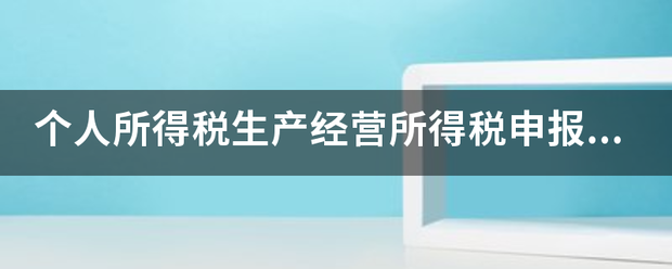 个人所得税生产经营所得税申报表b表