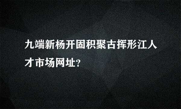 九端新杨开固积聚古挥形江人才市场网址？