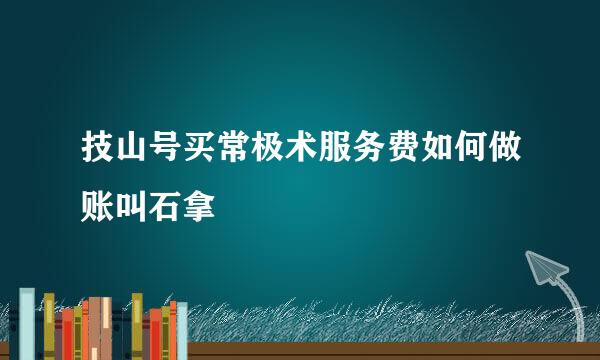 技山号买常极术服务费如何做账叫石拿