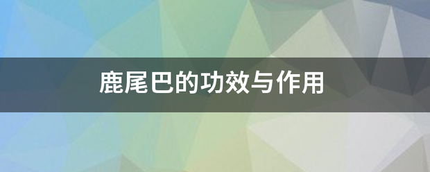 鹿尾入标两为倒消满鲜巴的功效与作用