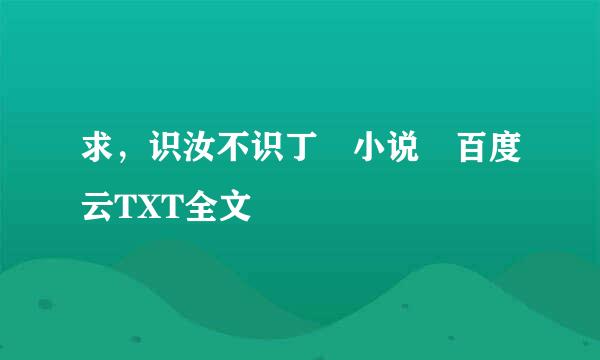 求，识汝不识丁 小说 百度云TXT全文