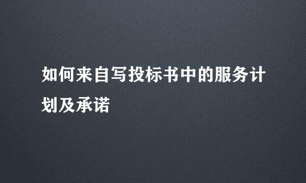 如何来自写投标书中的服务计划及承诺