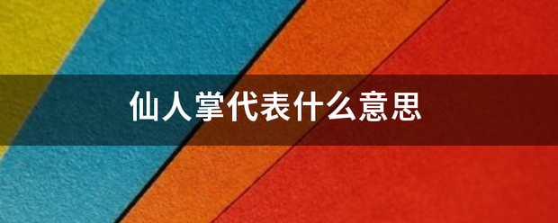 仙人掌代表什么意思