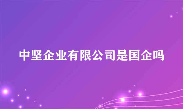 中坚企业有限公司是国企吗