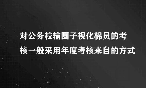 对公务粒输圆子视化棉员的考核一般采用年度考核来自的方式