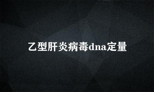 乙型肝炎病毒dna定量