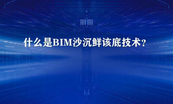 什么是BIM沙沉鲜该底技术？